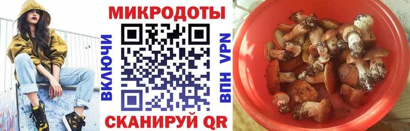 Купить закладки  Темрюк  Псилоцибиновые грибы мицелий 